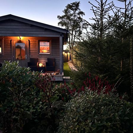 Chalet In Het Groen Met Airco Drachtstercompagnie Екстер'єр фото