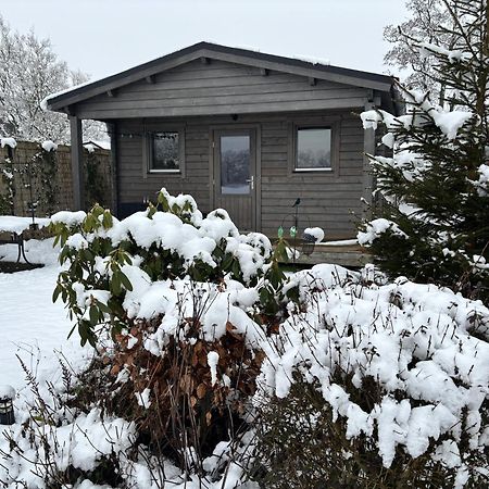 Chalet In Het Groen Met Airco Drachtstercompagnie Екстер'єр фото
