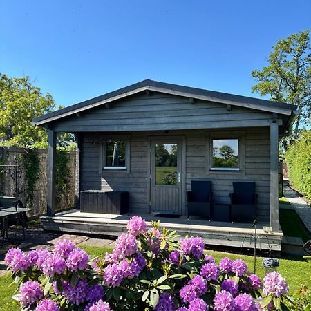 Chalet In Het Groen Met Airco Drachtstercompagnie Екстер'єр фото