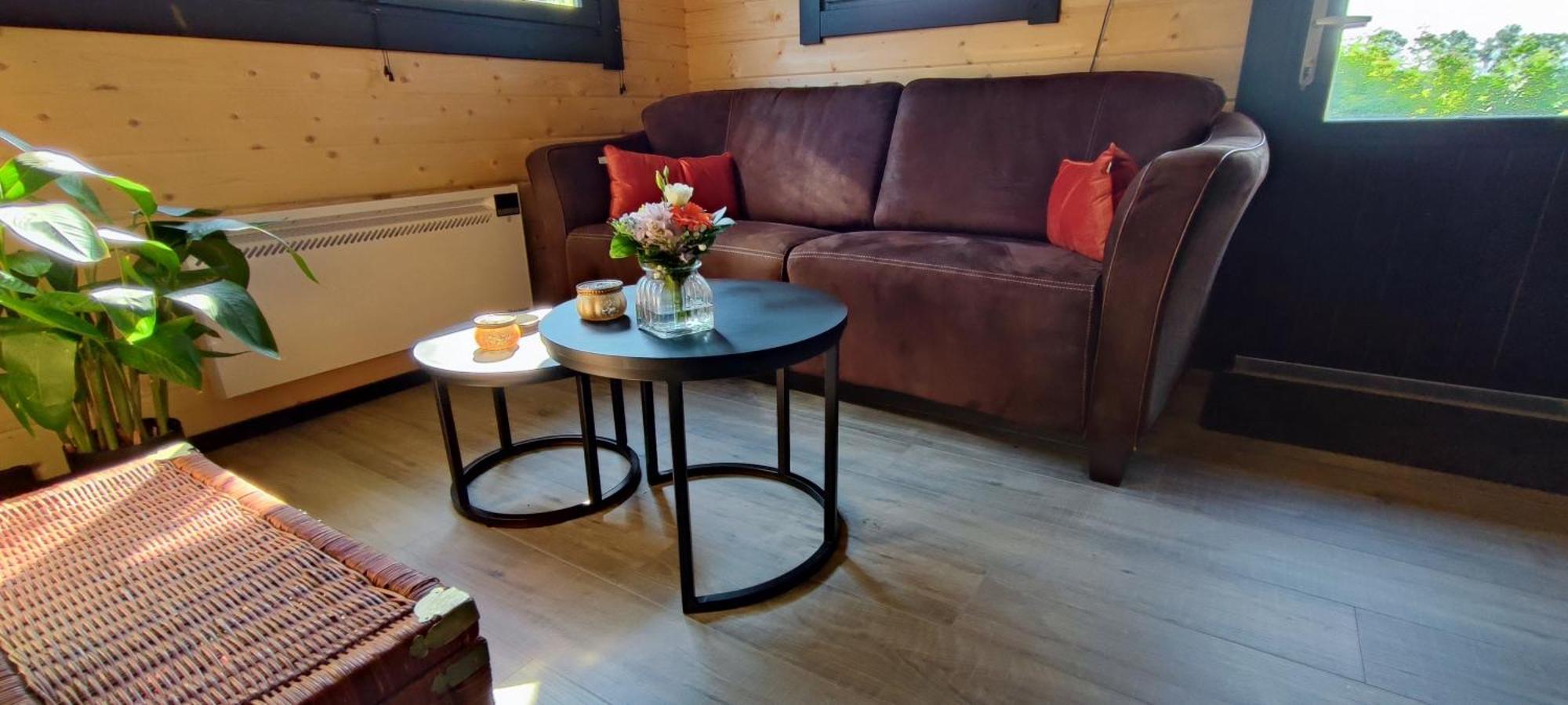 Chalet In Het Groen Met Airco Drachtstercompagnie Екстер'єр фото