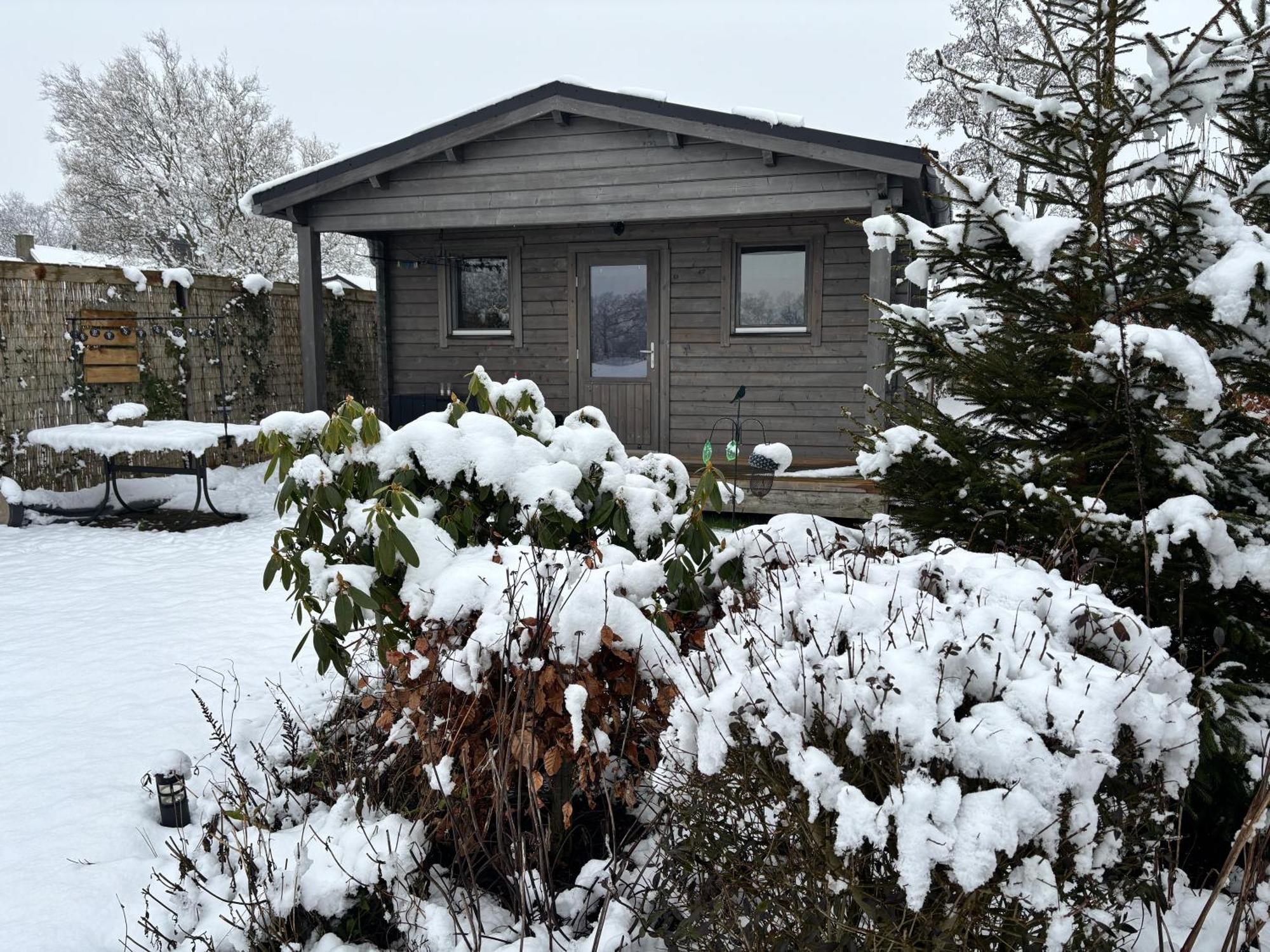Chalet In Het Groen Met Airco Drachtstercompagnie Екстер'єр фото